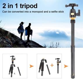 img 1 attached to JEIFN 60-Inch Portable Lightweight Camera Tripod with 360 Degree Ball Head and Phone Holder - Perfect for Canon Nikon Sony DSLR Cameras