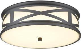 img 4 attached to CALDION Ceiling Dimmable Adjustable 6873LFM BK