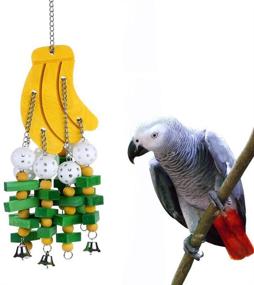 img 4 attached to Hypeety Hanging Colorful African Cockatiels