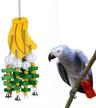 hypeety hanging colorful african cockatiels logo