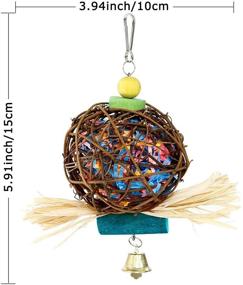 img 1 attached to 🦜 Kassbest Bird Parrot Chewing Toys: Natural Rattan Ball Cage Toy, Foraging Shredder & Beak Grinding Stone - Calcium Supplement for Budgie Lovebirds Conures Parakeet - 2 Pack