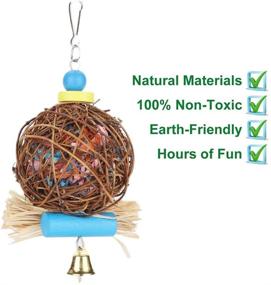 img 2 attached to 🦜 Kassbest Bird Parrot Chewing Toys: Natural Rattan Ball Cage Toy, Foraging Shredder & Beak Grinding Stone - Calcium Supplement for Budgie Lovebirds Conures Parakeet - 2 Pack