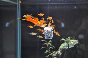 img 2 attached to Life Aquatic Fish Feeder Frank