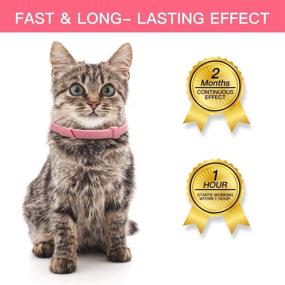 img 2 attached to 🐱 PettingPal Calming Collar for Cats - Natural Anxiety Relief, Adjustable up to 15 inches, Pheromone Calm Treats Kitten Collar - Quick Release, Lasting Effect, Soft & Comfortable - Pink