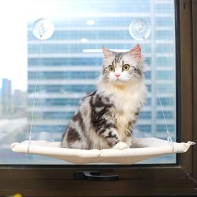 img 4 attached to All for Paws Cat Window Perch, Foldable Cat Seat Lounger Bed, Durable Metal Frame