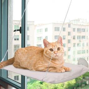 img 3 attached to All for Paws Cat Window Perch, Foldable Cat Seat Lounger Bed, Durable Metal Frame