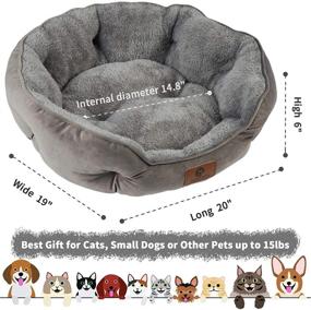 img 2 attached to Asvin Dog Bed: Comfortable and Durable Cat Beds for Indoor Cats, Puppies, and Kittens - Extra Soft, Machine Washable, Anti-Slip, and Water-Resistant Oxford Bottom