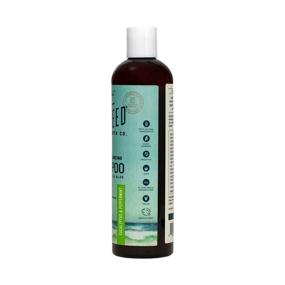 img 2 attached to The Seaweed Bath Co. Balancing Eucalyptus and Peppermint Argan Shampoo Review