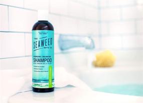 img 1 attached to The Seaweed Bath Co. Balancing Eucalyptus and Peppermint Argan Shampoo Review
