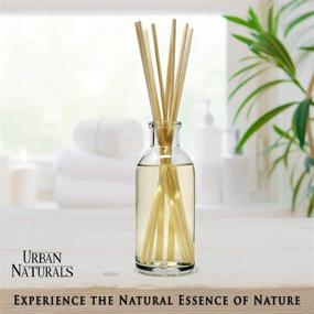 img 3 attached to 🍉 USA-Made Cucumber Melon Reed Diffuser Scent Sticks Set - Refreshing Spring Blend of Crisp Cucumber & Sun Ripened Melon - Ideal Housewarming Gift