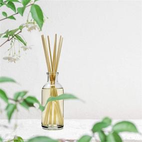 img 1 attached to 🍉 USA-Made Cucumber Melon Reed Diffuser Scent Sticks Set - Refreshing Spring Blend of Crisp Cucumber & Sun Ripened Melon - Ideal Housewarming Gift