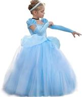 cinderella costume princess halloween sleevelet: enchant your halloween night логотип