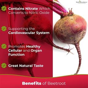 img 1 attached to 🍒 NutriGardens Beet Boost: Powerful Beet Powder Nitric Oxide Booster and Energy Supplement with USA Grown Beets + Tart Cherry - Supercharge Your Health with Whole Beetroot Supplement, Red Beet Root Super Juice, Outperforming Vegan Supplements 8.5 Oz