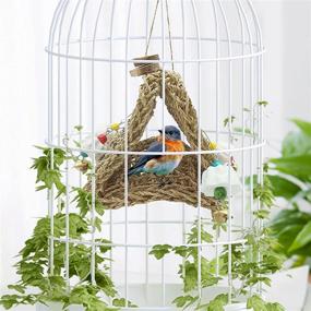 img 3 attached to 🐦 Hamiledyi Seagrass Bird Tent with Chew Toy Bell - Foraging Climbing Mat Toy for Cockatiel Parrot Parakeet Lovebird Conure Budgies - Parrot Hammock