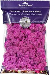 img 1 attached to SuperMoss (23199) Preserved Reindeer Moss Bag, 8oz, Pink