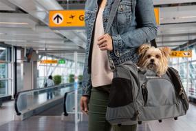 img 1 attached to 🐾 Sherpa American Airlines Travel Pet Carrier: Airline Approved, Padded & Foldable, Mesh Windows & Spring Frame - Charcoal Medium