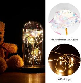 img 2 attached to 🌈 Enchanting Rainbow Galaxy Rose in Glass Dome: Perfect Christmas Rose Gifts for Women - Forever Artificial Flower Depicting Magical Glow, LED Light Illuminated! Ideal Christmas/Birthday Presents for Mom/Wife/Girlfriend/Friend - Unique and Beautiful!