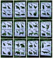 🎨 sooqoo animal stencils for painting: 12 piece set for diy art projects and parent-child learning logo