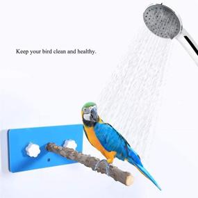 img 1 attached to Portable Suction Parrot Window Shower