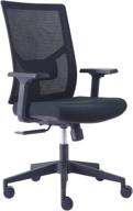 cinnic ergonomic desk chair: mesh computer chair with 3d lumbar support, adjustable headrest, flip up arms, and swivel executave high back design logo