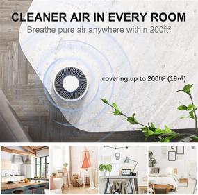 img 3 attached to 🌬️ H13 True HEPA Air Purifier for Home Bedroom, ROTO Air Cleaner for Pets, Smokers, Dust, Mold, Allergies, Quiet Odor Eliminators for Room, 4 Fan Speeds, Quiet Auto Mode