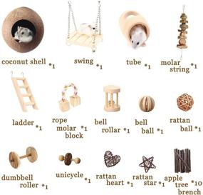 img 3 attached to 🐹 Mynest Hamster Chew Toys: 23pcs Natural Wooden Pine Rats Toys for Teeth Care, Coconut Shell, Tube, Swing, Ladder, Dumbbells, Exercise Bell, Roller — Accessories for Molar Toy