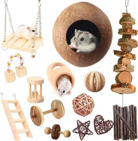 img 4 attached to 🐹 Mynest Hamster Chew Toys: 23pcs Natural Wooden Pine Rats Toys for Teeth Care, Coconut Shell, Tube, Swing, Ladder, Dumbbells, Exercise Bell, Roller — Accessories for Molar Toy