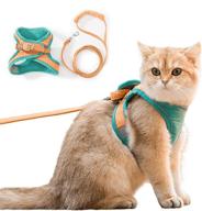 🐱 step-in cat harness and leash set: escape proof vest for small to medium pets - comfortable, adjustable, and reflective logo