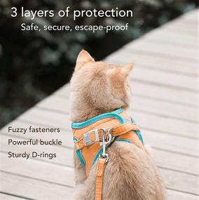 img 3 attached to 🐱 Step-in Cat Harness and Leash Set: Escape Proof Vest for Small to Medium Pets - Comfortable, Adjustable, and Reflective