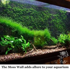 img 2 attached to Luffy Aquatic Moss Wall/Floor Mesh Kit - 2 Mesh Pieces, 10 Cable Ties, and 5 Suction Cups Included for Decorative Purposes