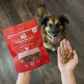 img 1 attached to 🐾 Freeze-Dried Raw Single Ingredient Treats by Stella & Chewy's