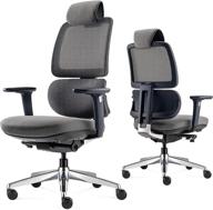 🪑 alfa furnishing ergonomic desk chair: executive office chair with adjustable lumbar support, 3d armrest, high back, sliding seat, rolling swivel – perfect for home and gaming logo