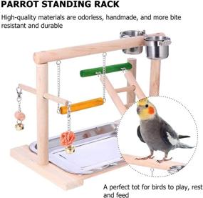 img 3 attached to 🐦 WYunPets Bird Perch Playground Parrot Gym Stand: Feeder Seed Cups, Ladder, Bell Toys - Ideal for Conure, Parakeet, Macaw, Cockatiel, Finch & Small Animals