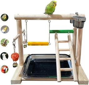img 4 attached to 🐦 WYunPets Bird Perch Playground Parrot Gym Stand: Feeder Seed Cups, Ladder, Bell Toys - Ideal for Conure, Parakeet, Macaw, Cockatiel, Finch & Small Animals