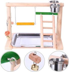 img 2 attached to 🐦 WYunPets Bird Perch Playground Parrot Gym Stand: Feeder Seed Cups, Ladder, Bell Toys - Ideal for Conure, Parakeet, Macaw, Cockatiel, Finch & Small Animals