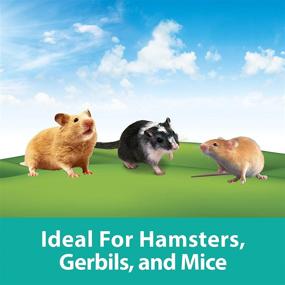 img 1 attached to 🐹 Enhance Your Pet's Habitat with Kaytee CritterTrail Fun-nels Value Pack #4
