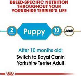 img 1 attached to 🐶 2.5 lb Bag of Royal Canin Yorkshire Terrier Puppy Breed-Specific Dry Dog Food