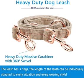 img 1 attached to 🌹 Rose Gold Dog Collar and Leash Set - Elegant Design for Medium to Large Dogs - Adjustable Lengths up to 6 Feet