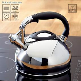 2.5L Stainless Steel Whistling Tea Kettle Food Grade Teapot For Make Tea  Boil Water Compatible Gas Stoves Induction Cookers 2022