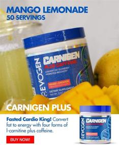 img 1 attached to Evogen Carnigen Carnitine Acetyl L Carnitine Bioperine Sports Nutrition