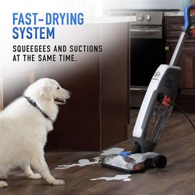 img 2 attached to 🐾 White Hoover PowerDash Pet Wet Dry Vacuum, FH41000 - Hard Floor Cleaner Machine