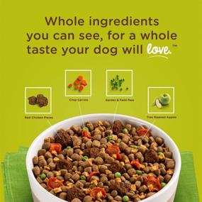 img 1 attached to 🐶 Rachael Ray Nutrish Dish: The Ultimate Super Premium Dry Dog Food with Real Meat, Veggies & Fruit