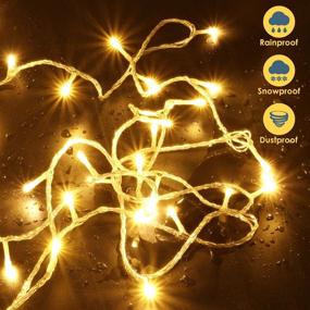 img 2 attached to 🎄 2-Pack EXF Connectable Christmas Lights - 240 LED Waterproof Clear Wire String Lights for Indoor/Outdoor Use - 8 Modes Twinkle Lights for Room, Garden, Xmas Tree Decorations (Warm White)