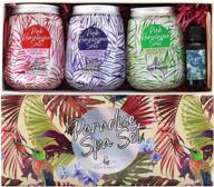 🎄 christmas bath salt soaking solution - tea tree oil, eucalyptus lavender, and hibiscus scend, therapeutic dissolvable bath salts for body care (cleanse, relax, restore, purify, soothe) logo