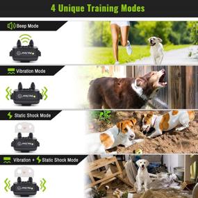 img 3 attached to 🐶 Petrainer 617A Waterproof Remote Dog Training Collar - Rechargeable Electric Collar with Beep Vibrating: 1000ft Range