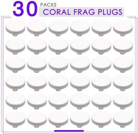 img 3 attached to 🐠 Aquarium Choice Ceramic Coralline Coral Frag Plugs 30 Pack: Enhancing Coral Growth and Aesthetics