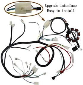 img 1 attached to 🔌 OTOHANS АВТОМОБИЛЬ Набор проводки Статорной катушки CDI для 4-тактных квадроциклов ATV QUAD 150 сс-300 сс: Полная медная жила и эффективность