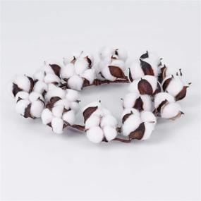 img 1 attached to 🌾 Lvydec Mini-Sized Cotton Wreath Decor - 10-inch Adjustable Cotton Stems Wreath with Full Cotton Bolls for Farmhouse Decoration, Front Door, Wall, Wedding Centerpiece
