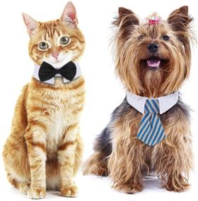 img 2 attached to 🐾 3-Piece Adjustable Pets Dog Cat Bow Tie Necktie Collar – Small Breed Grooming Accessories