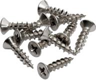 🔩 flat head screws with nickel plating logo
